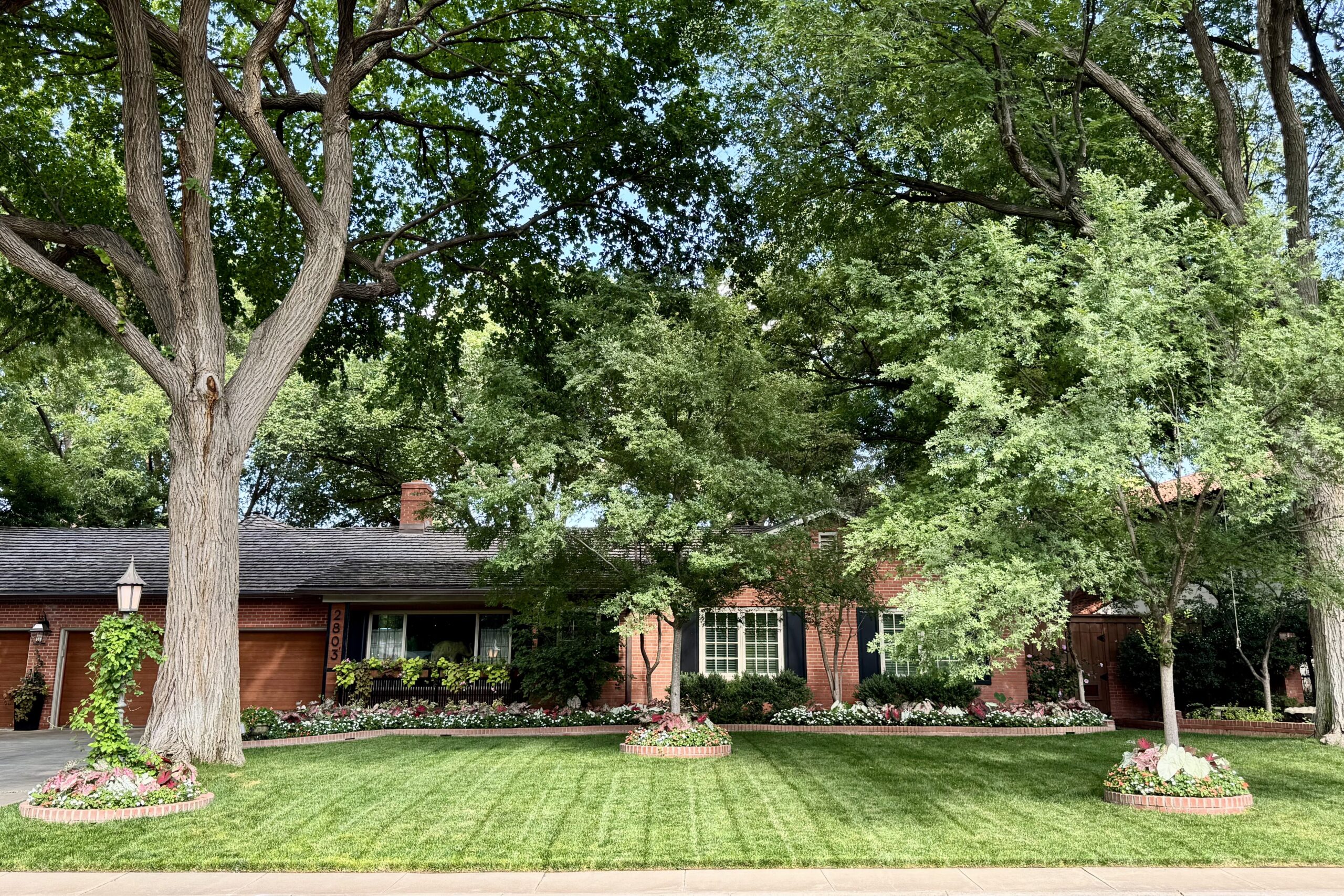 Yards-n-Nars Picture